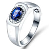 SIEGELRING DE LUXE IN 14K WEISSGOLD MIT BLAUEN SAPHIREN : SYMBOL DER UNTERSCHEIDUNG - Königlicher Siegelring
