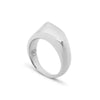 SIEGELRING HERREN EDELSTAHL - SCHMALER RING-KLASSICHER - HERRENRING - Königlicher Siegelring