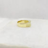 SIEGELRING HERREN GOLD : DIAMANTEN PINKY RING - VERLOBUNGSRING HERRENRING - Königlicher Siegelring