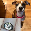 Siegelring Personalisieren Tierfoto Graviert - Ring mit Foto - Königlicher Siegelring