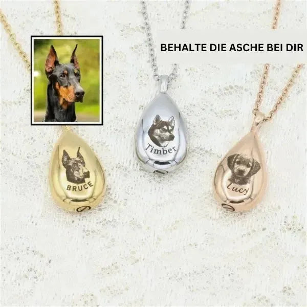Urnen Kette für Asche - Königlicher Siegelring